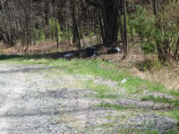 Thompsonville Road near where the road curves